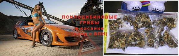 хмурый Нефтегорск