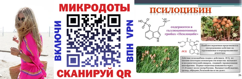 наркотики  shop клад  Псилоцибиновые грибы MAGIC MUSHROOMS  Нелидово 